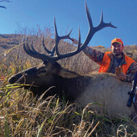 Lodge Elk Hunts