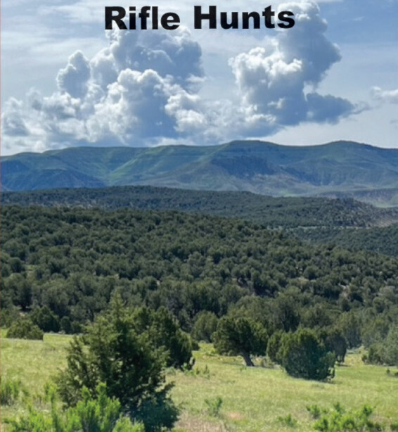 DIY Private Land Rifle Hunts