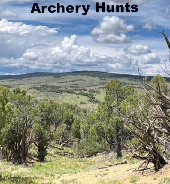 DIY Private Land Archery Hunts