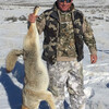 Coyote/Prairie Dog