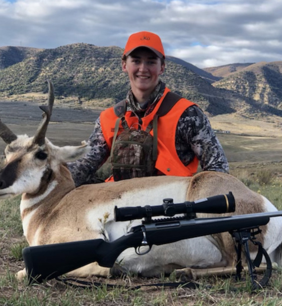 Pronghorn Antelope Colorado