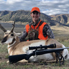 Pronghorn Antelope 