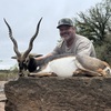 Blackbuck Antelope